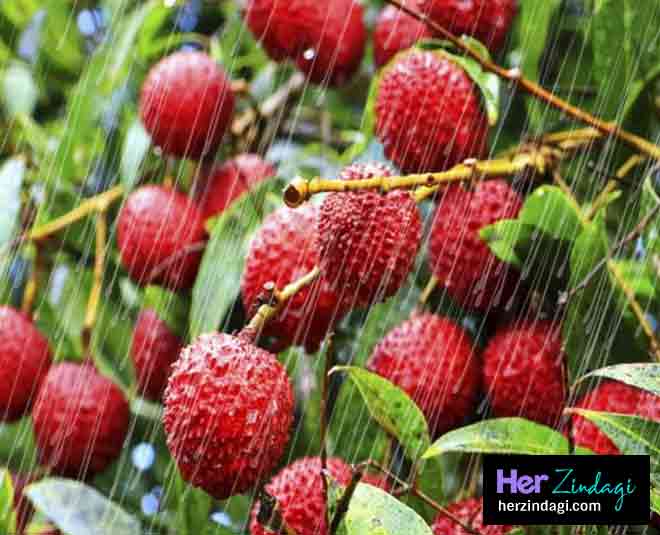 lychee health card ()