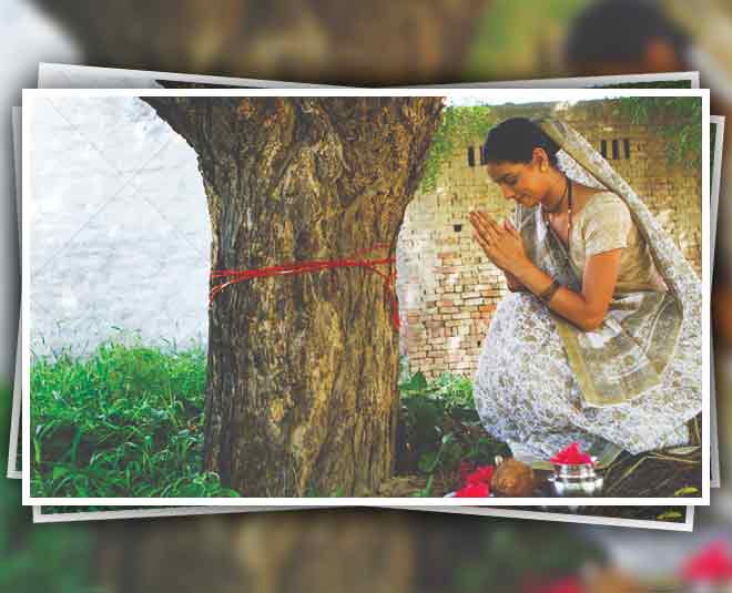 mithila state tree  mythology 