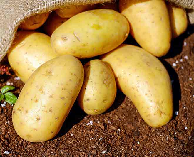 पौष्टिक गुणों वाला आलू potato health inside