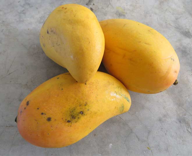 Interesting facts about mango will make you mango lover ()