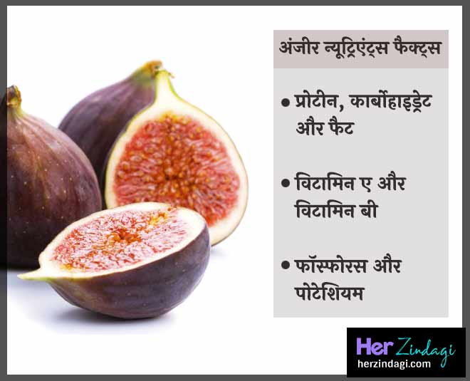 अंजीर all about nuts what type of nuts are good inside