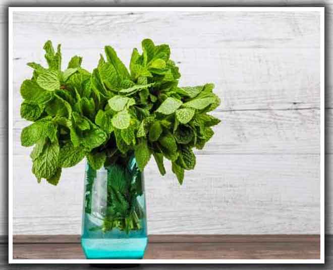 हर्बस से सजाएं डाइनिंग टेबल food hacks for your boring food inside