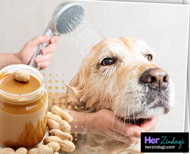 peanut butter for dog inside