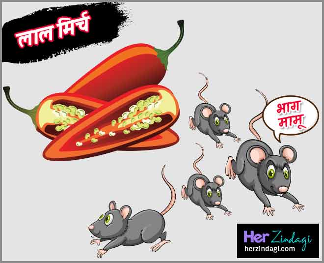 rat killer health card ()