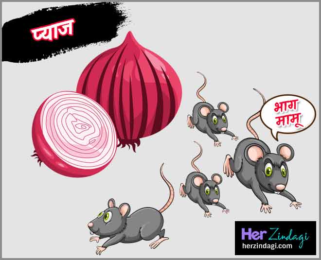 rat killer health card ()