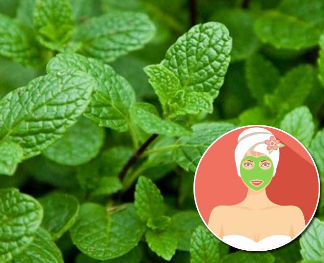 Summer healthy tips mint