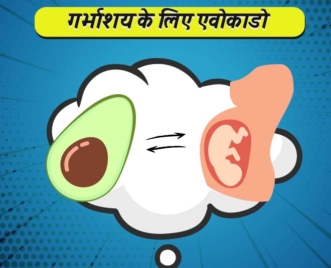 गर्भाशय के लिए एवोकाडो avocado like utrus