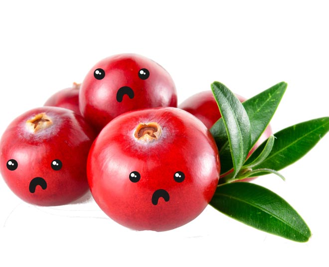 craneberry healthy food