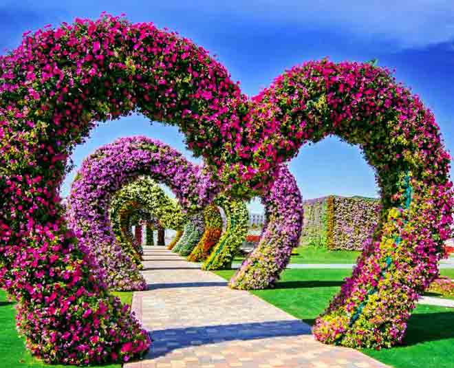 dubai have world biggest natural flower garden  ()