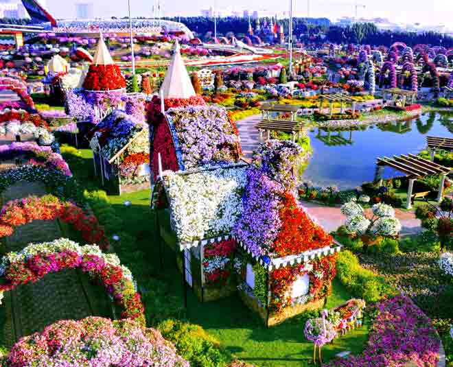dubai have world biggest natural flower garden  ()