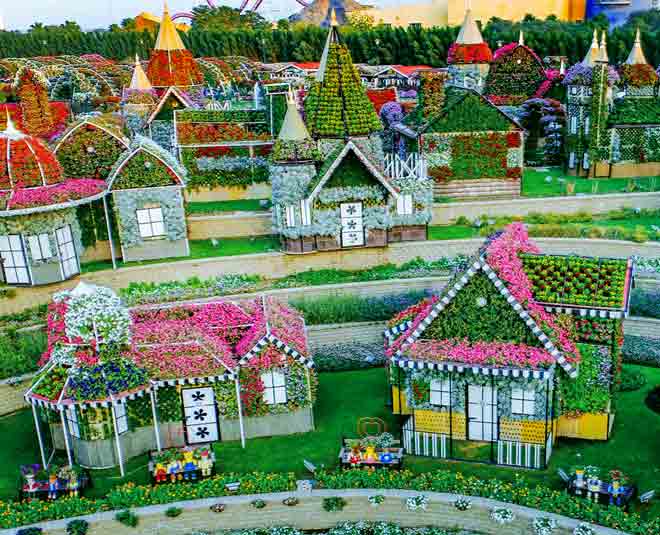 dubai have world biggest natural flower garden  ()