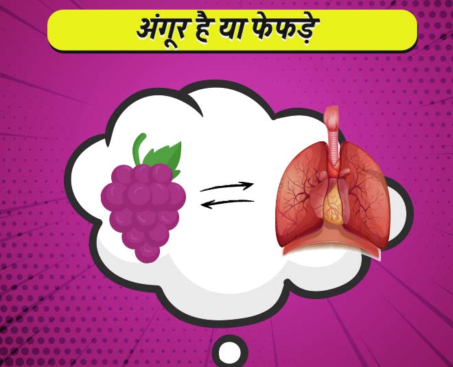 फेफड़ों के लिए अंगूर grapes like lungs