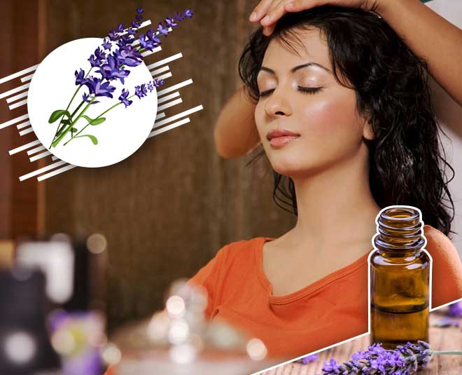lavender oil benefits hair