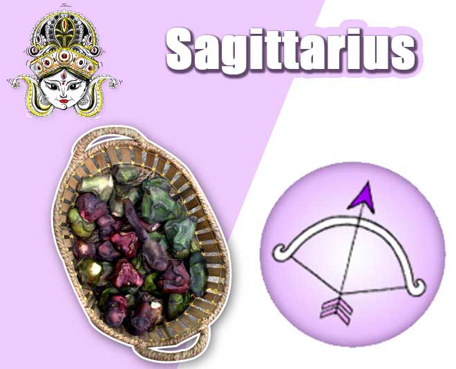 Sagittarius- धनु sagirtarius fruit zodiac navratre