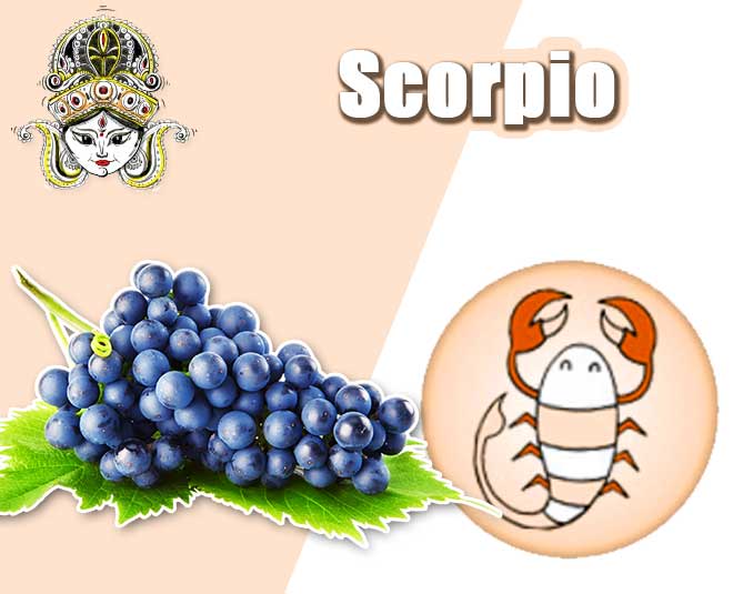 Scorpio- वृश्चिक scorpio fruit zodiac navratre