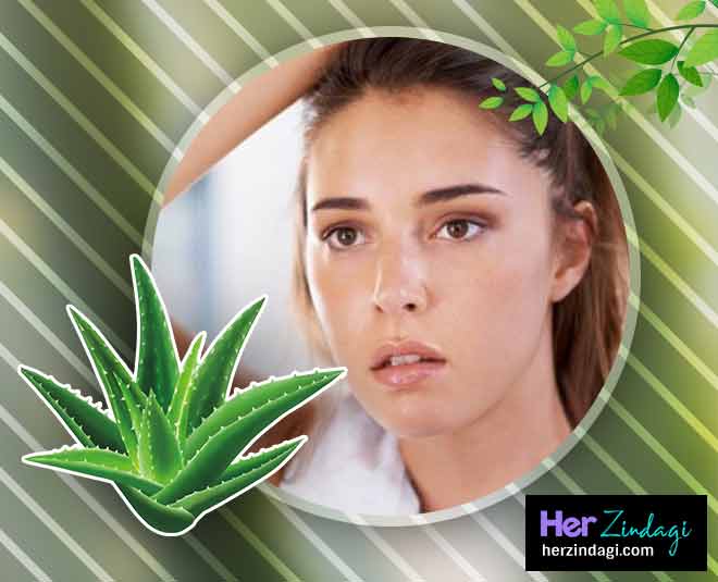 ऑयली स्किन के लिए aloevera can cure skin problems in summer inside