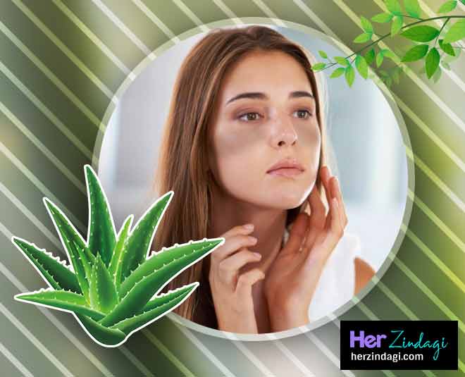 झाइयां भी करता है ठीक aloevera can cure skin problems in summer inside