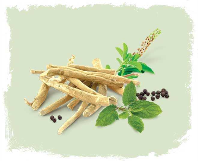 ashwagandha for skinny women