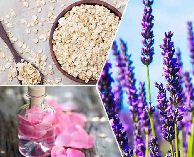 लैवेंडर का फूल flower face pack for skin careinside