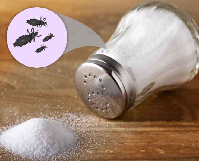 lice problem in summer cinsideard