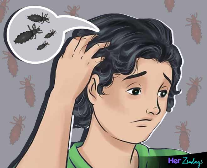 lice problem in summer main