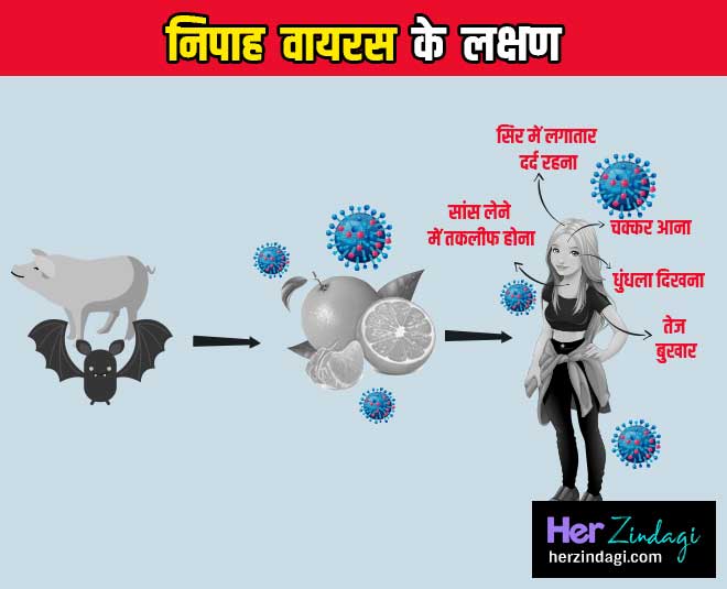 निपाह वायरस के प्रमुख शुरुआती लक्षण nipah virus INSIDE
