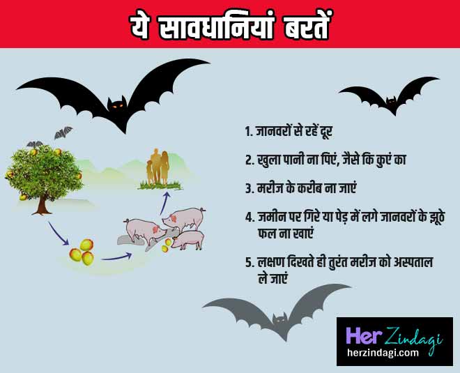 निपाह के इंफेक्शन से ऐसे बचें nipah virus INSIDE