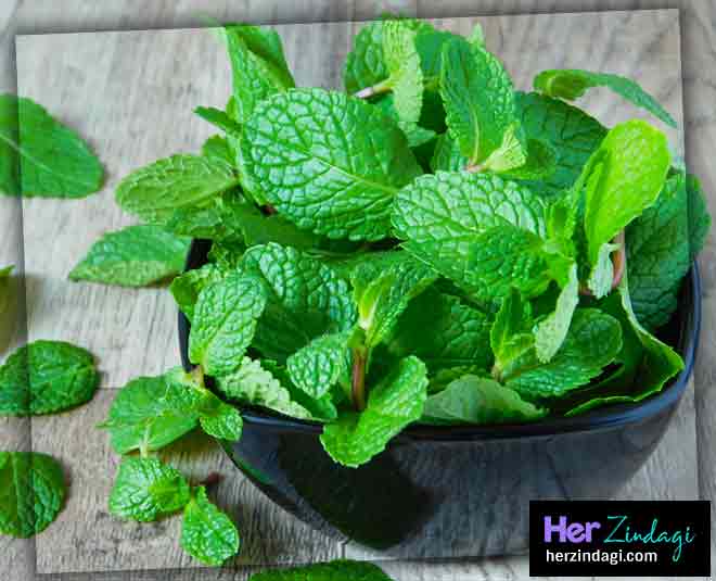 peppermint toner beauty