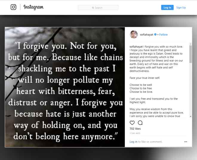 sofia hayat breakup after marriage inside 