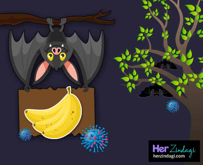 these three fruits are the reason of nipah virus banana inside 