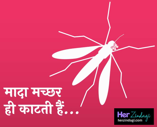 केवल काटती हैं मादा मच्छर why do mosquitoes bite some people more inside
