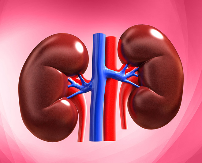kidney health inside