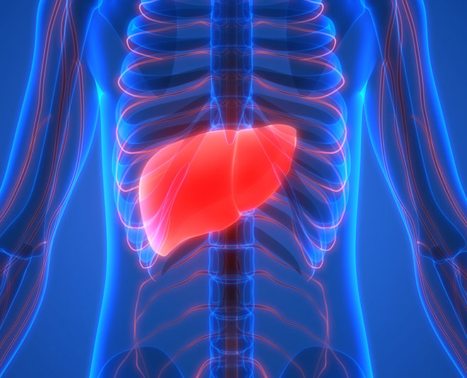 liver health inside