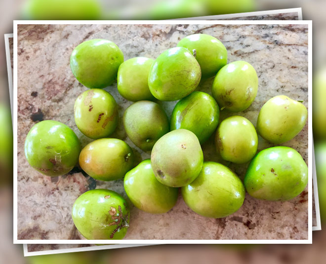 winter essential foods ber inside