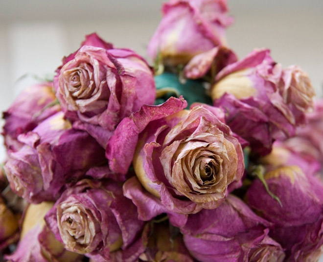 fenghui tips to bring positivity at home remove negativity inside