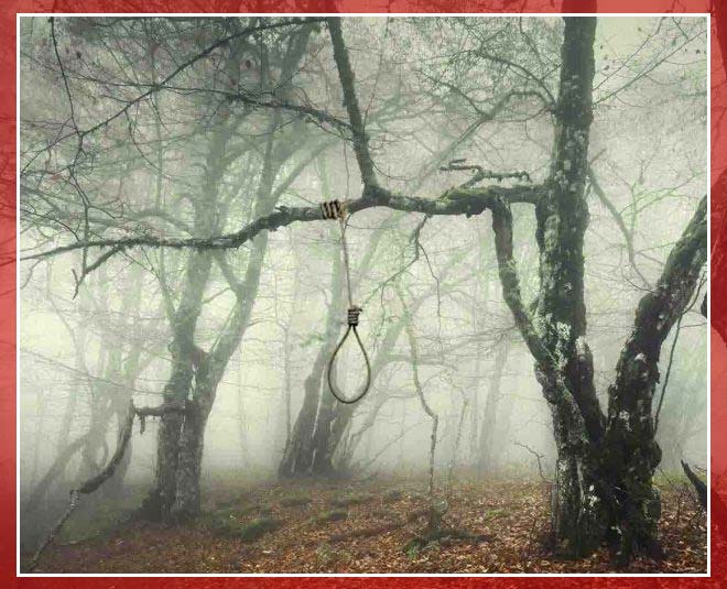 japan suicide forest  aokigahara 