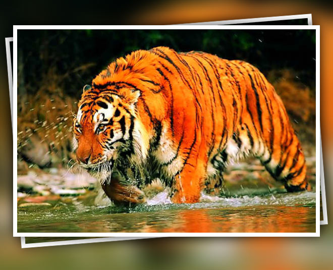 kolkata weekend holiday destination inside 