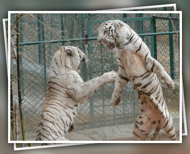 kolkata weekend holiday destination inside 