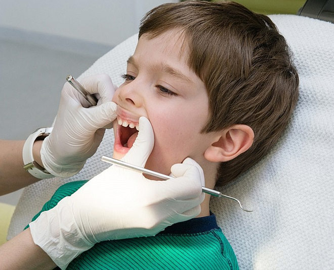 stem cells milk teeth help cure diseases inside