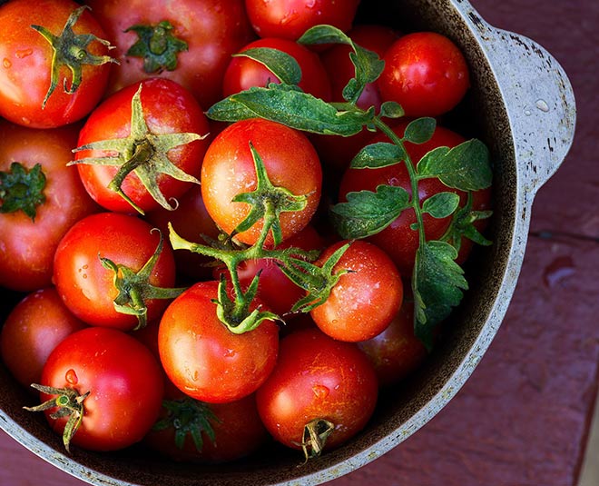 tomatoes for skin 