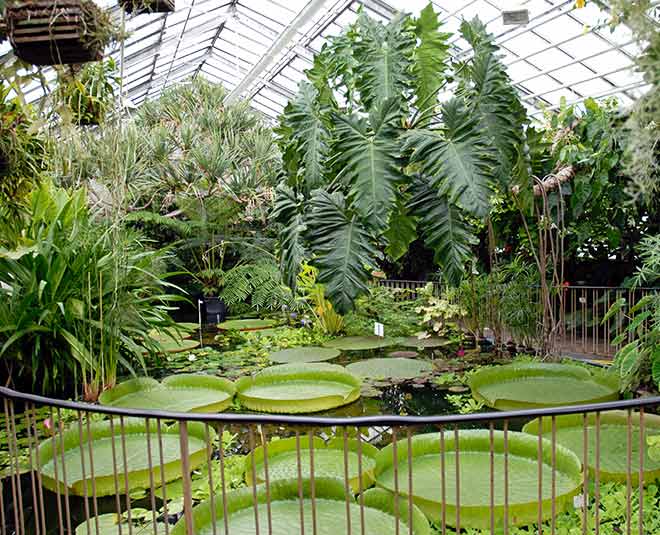 Beautiful botanical gardens around the world must visit  