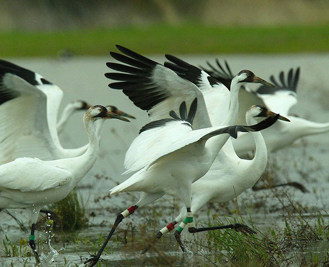 gurugram have many places to visit for travel lovers  