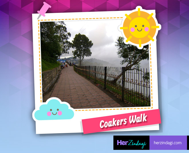 kodaikanal tamil nadu hill station 