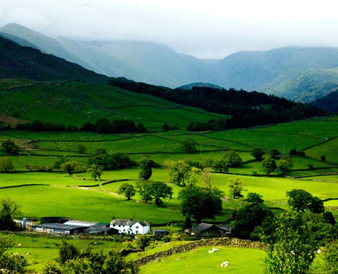 ziro arunachal pradesh inside
