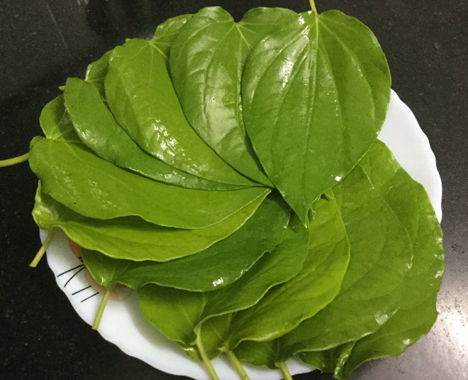 betel leaf donation