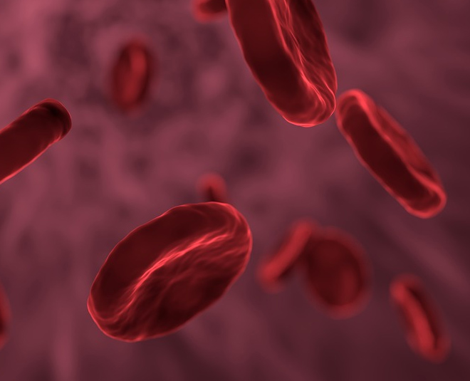 coconut for blood disorders