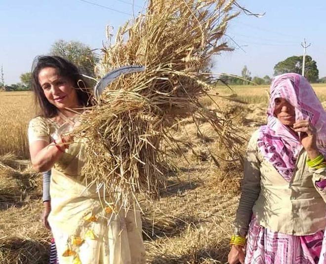 hema malini candidate lok sabha election  publicity stunt inside