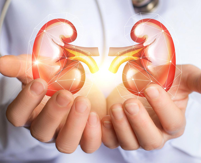 kidney health vitamin d