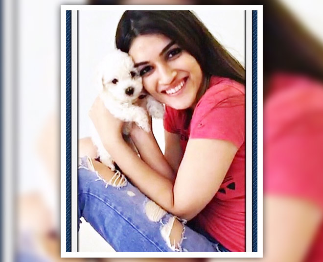 Feeling Stressed? See How Bollywood Celebs Stay Happy With Their Pets ...