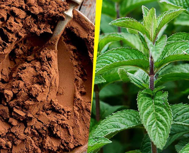 peppermint coffee inside 